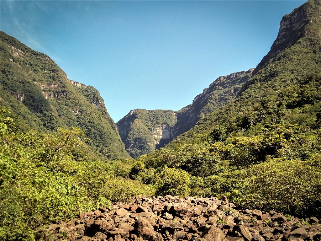 A origem do malacara - Cavalus